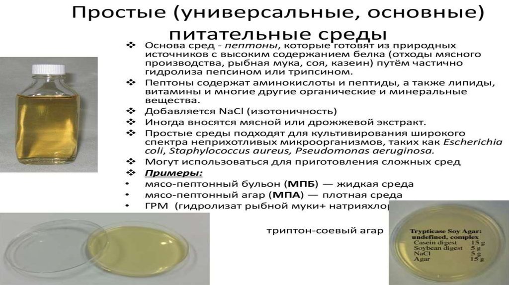 Среда для культивирования бактерий - презентация онлайн