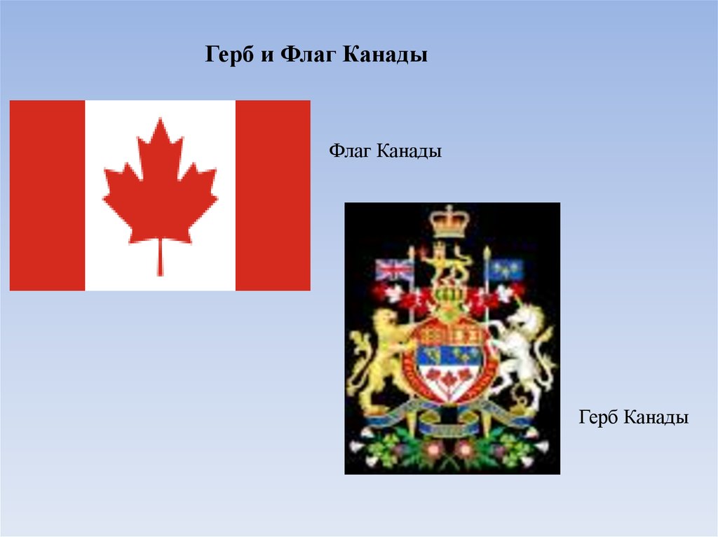 Канадский герб. Канада флаг и герб. Герб Канады. Канадский флаг и герб. Герб Канады Канады.