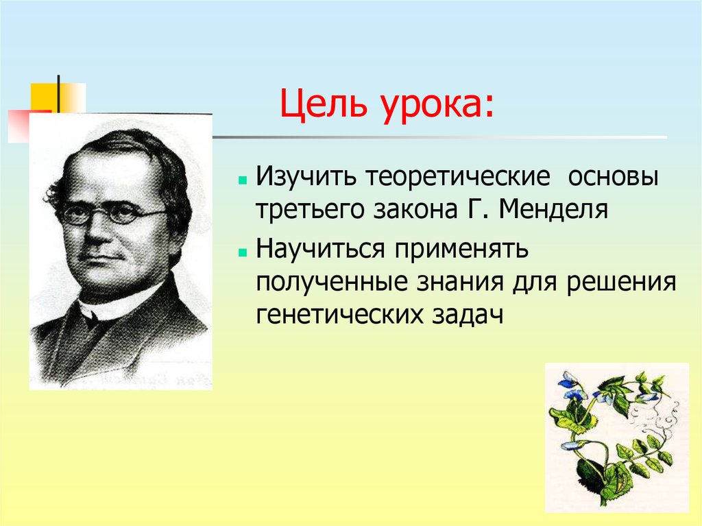 Мендель основы генетики. Мендель биология. Мендель презентация. Презентация к уроку биологии законы Менделя.