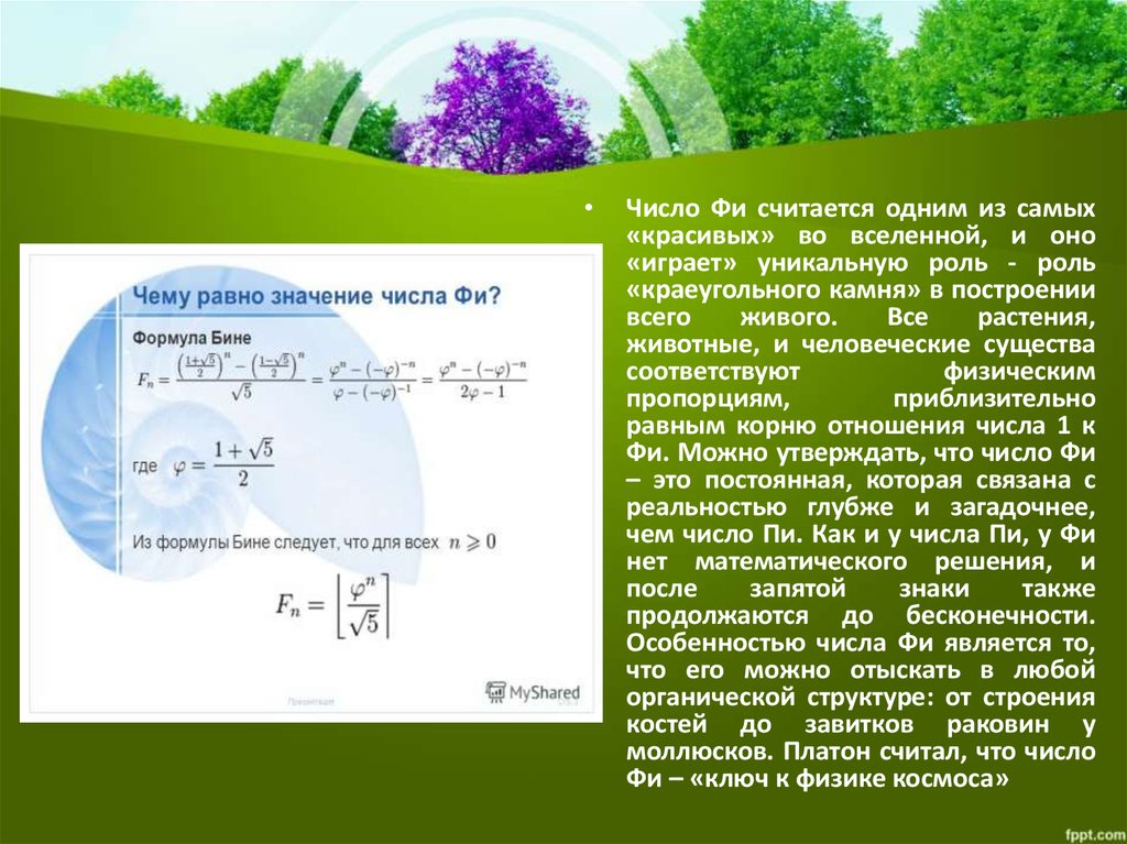 Проект числа фибоначчи гипотеза