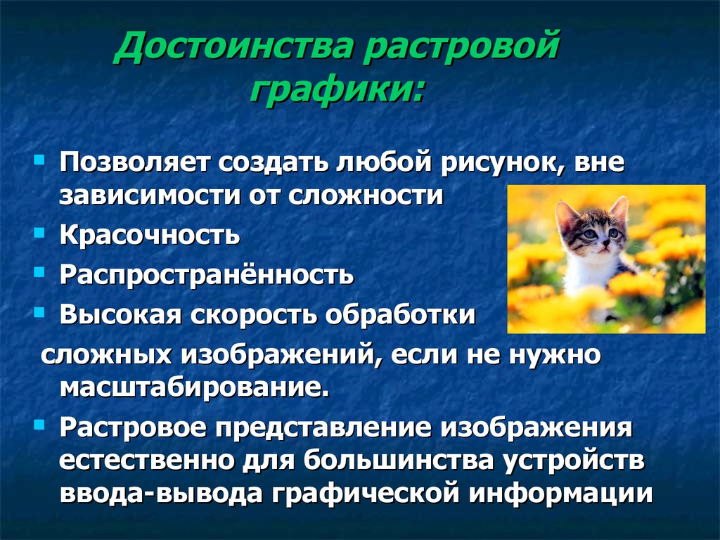 Что можно выделить как одно из преимуществ растрового изображения