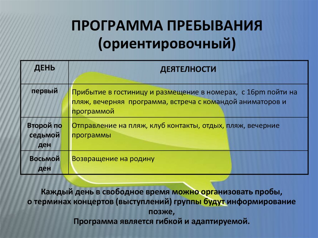 Программа пребывания образец