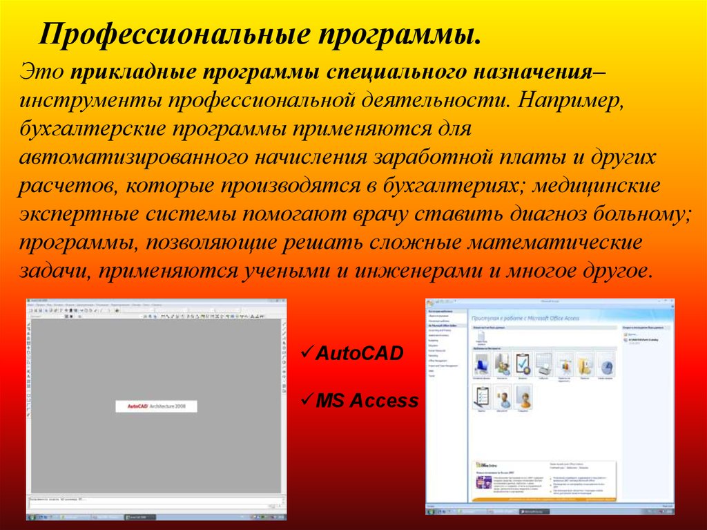 Прикладные программы компьютера. Профессиональные программы. Профессиональные прикладные программы. Программное обеспечение профессионального назначения. Программы специального назначения.