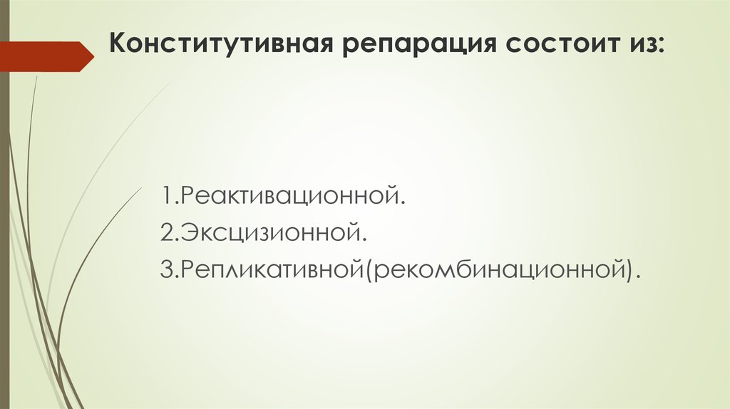 Конститутивная репарация состоит из: