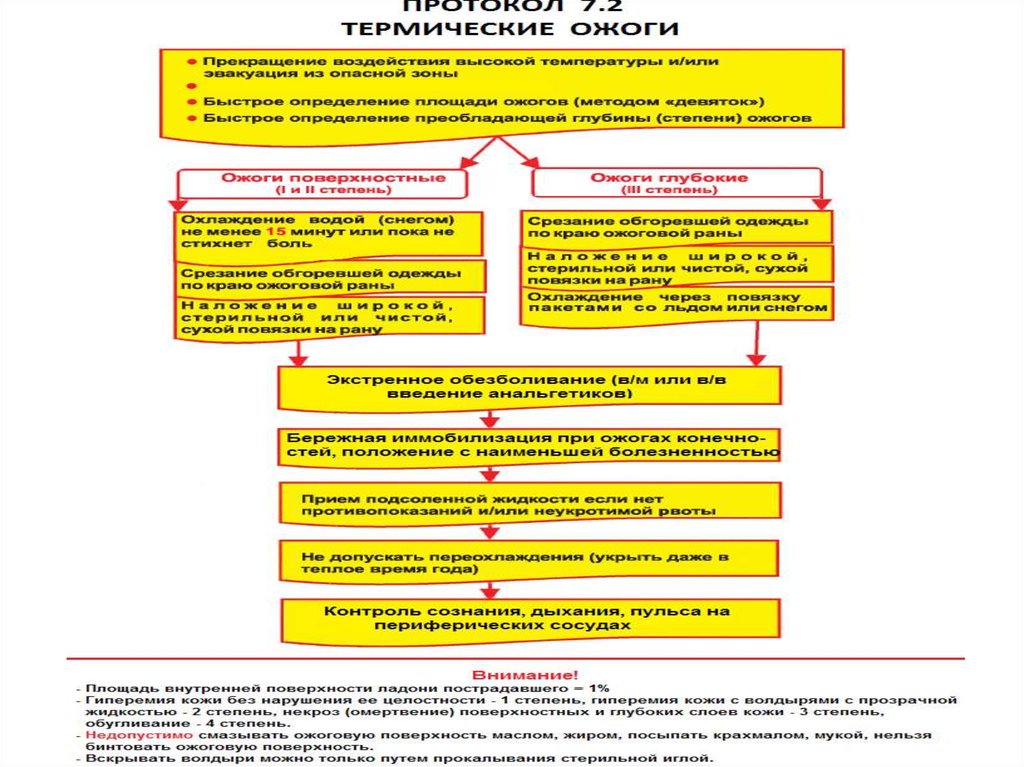 Перечень постановление 855