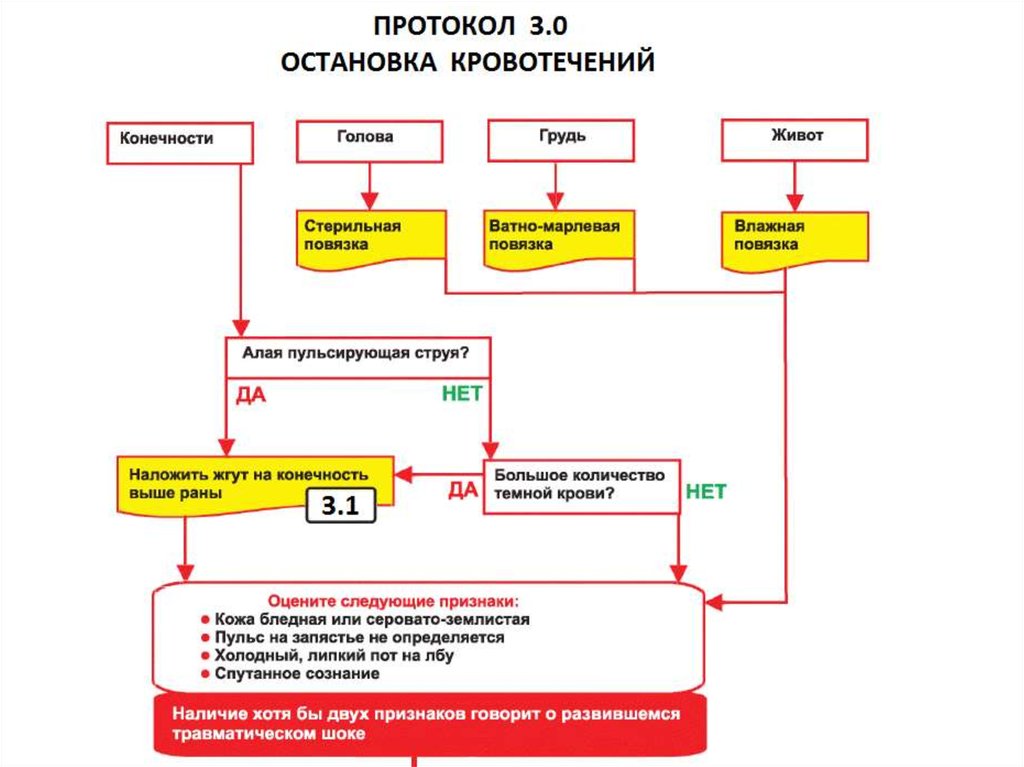 Блок схема кровотечения