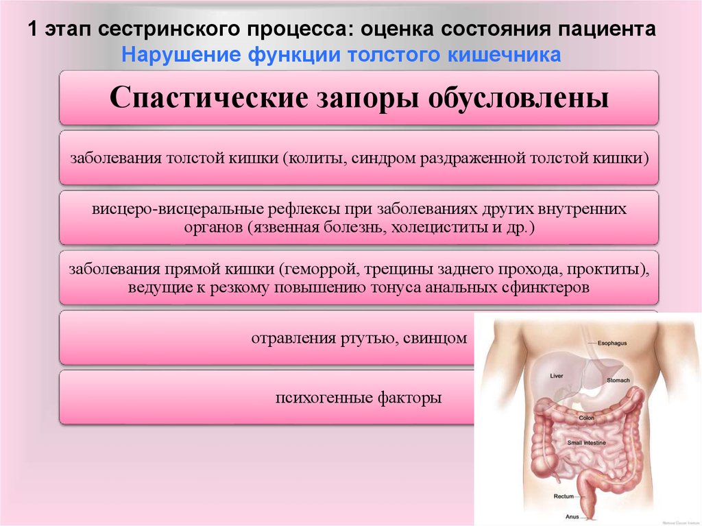 План сестринского ухода при холецистите