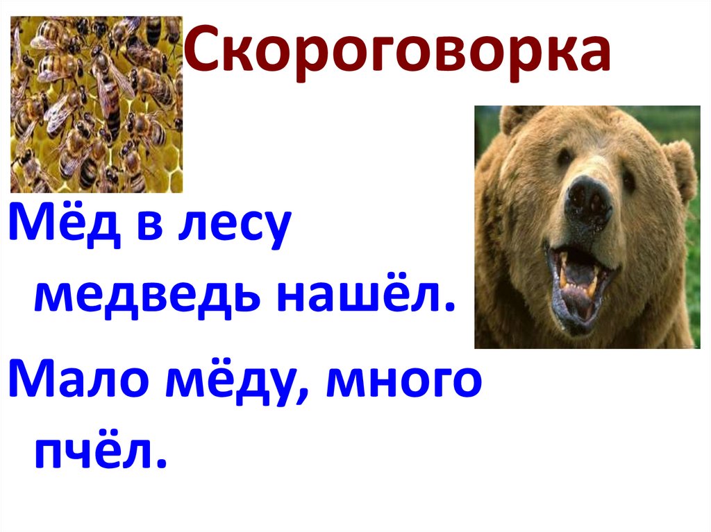 Рассказ Про Медведя В Научном Стиле