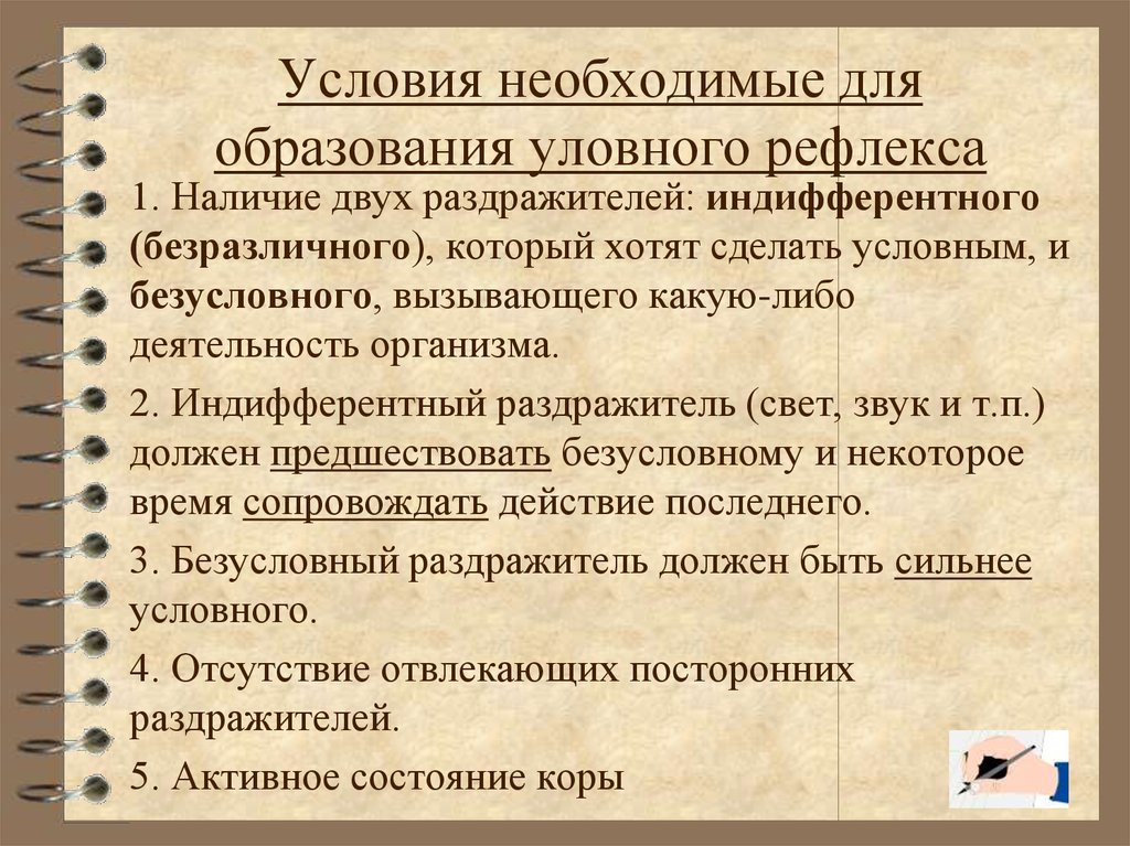 Наличие двойной. Условия образования условных рефлексов. Условия, необходимые для формирования условного рефлекса.. Условия необходимые для образования условного рефлекса. Индифферентный раздражитель это.