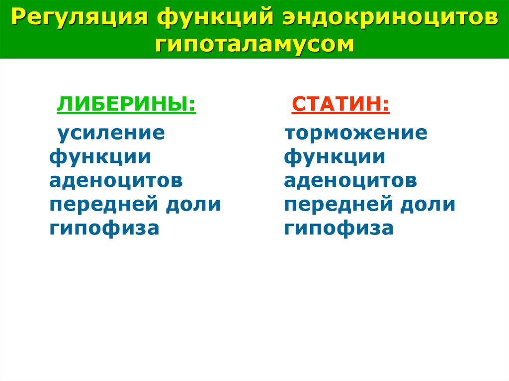 Усиление функции. Функции гипоталамуса либерины и статины. Либерины и статины функция. Либерины функции. Функции либеринов и статинов.