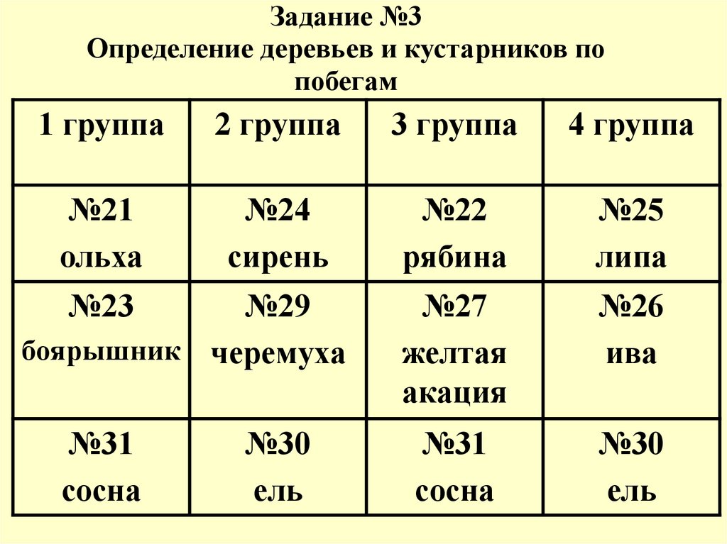 Определение растений по фото андроид