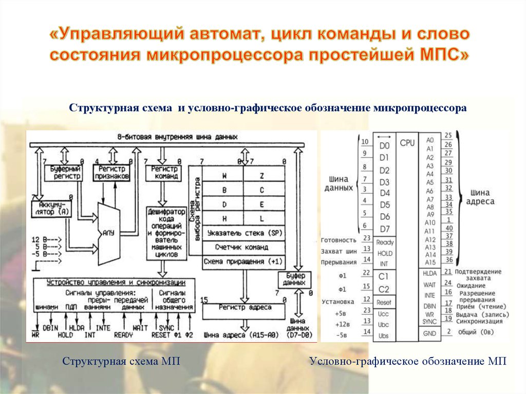 Внутренняя схема микропроцессора