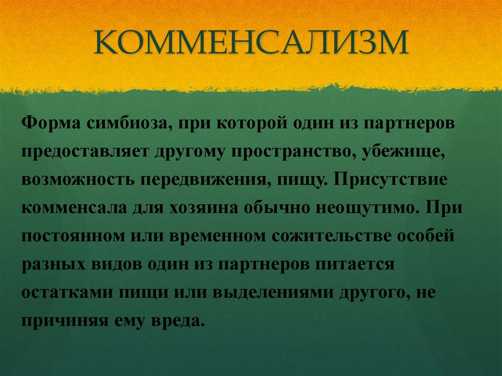 Симбиоз 3. Примеры симбиоза у человека. Симбиотические формы. Симбиоз приспособления. Форма симбиоза при которой один и партнеров.