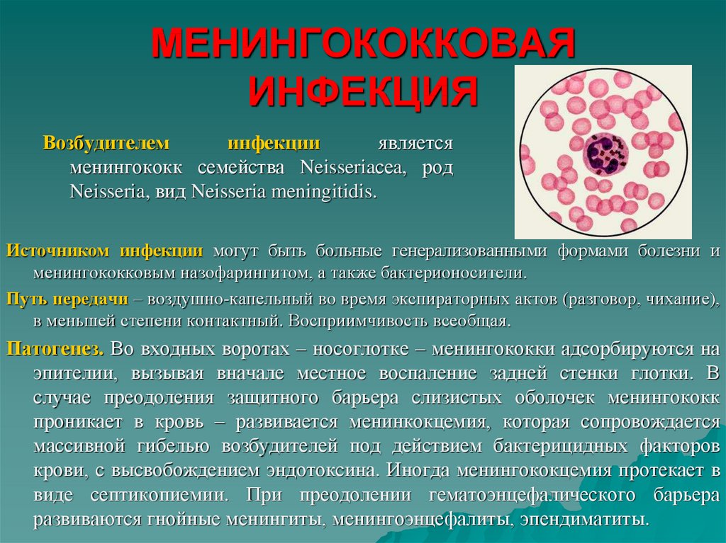 Сестринский уход при менингококковой инфекции презентация