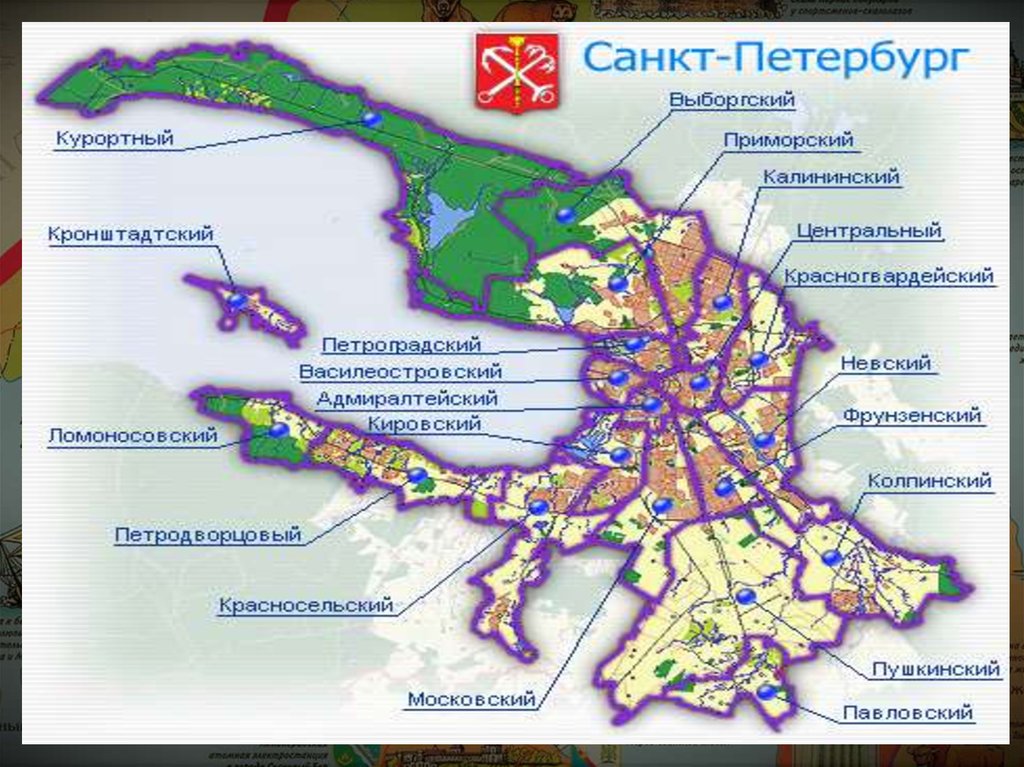 Территория города санкт петербурга на карте. Районы СПБ на карте. Карта Санкт-Петербурга с районами города. Деление на районы Санкт-Петербурга. Схема административно-территориального деления Санкт-Петербурга.