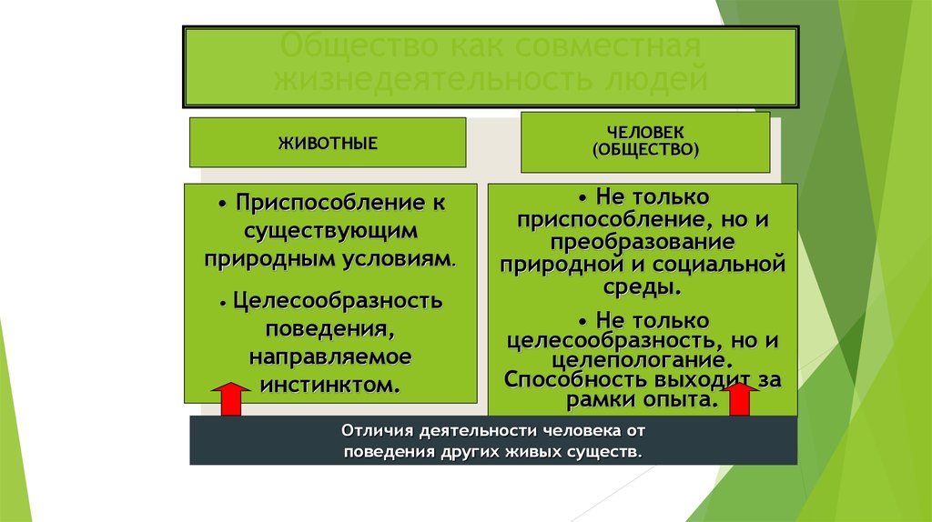 План общество как совместная жизнедеятельность людей план