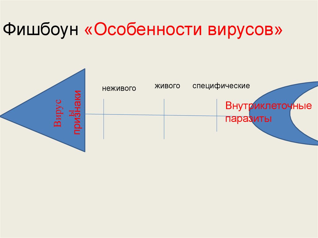 Технология фишбоун презентация