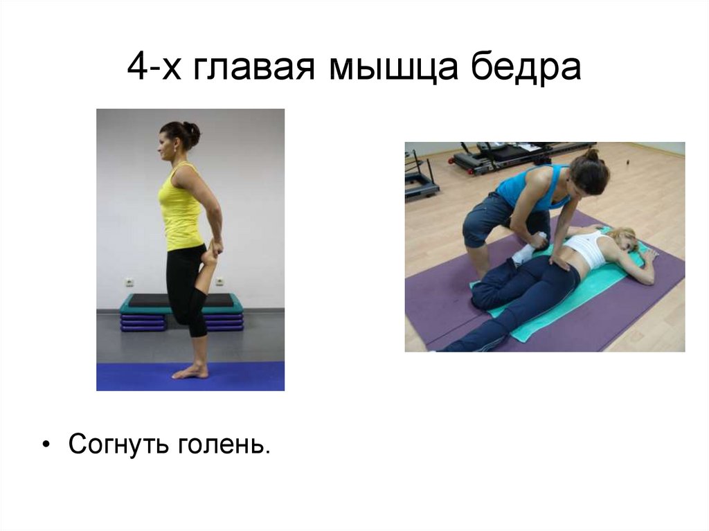 4х главая мышца бедра