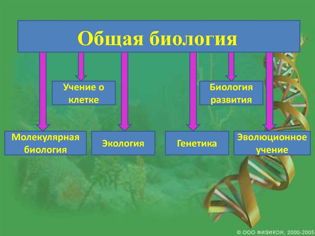 Биология изучает 3 класс. Отрасли биологии. Биологические дисциплины. Схема биологических наук. Биология темы.