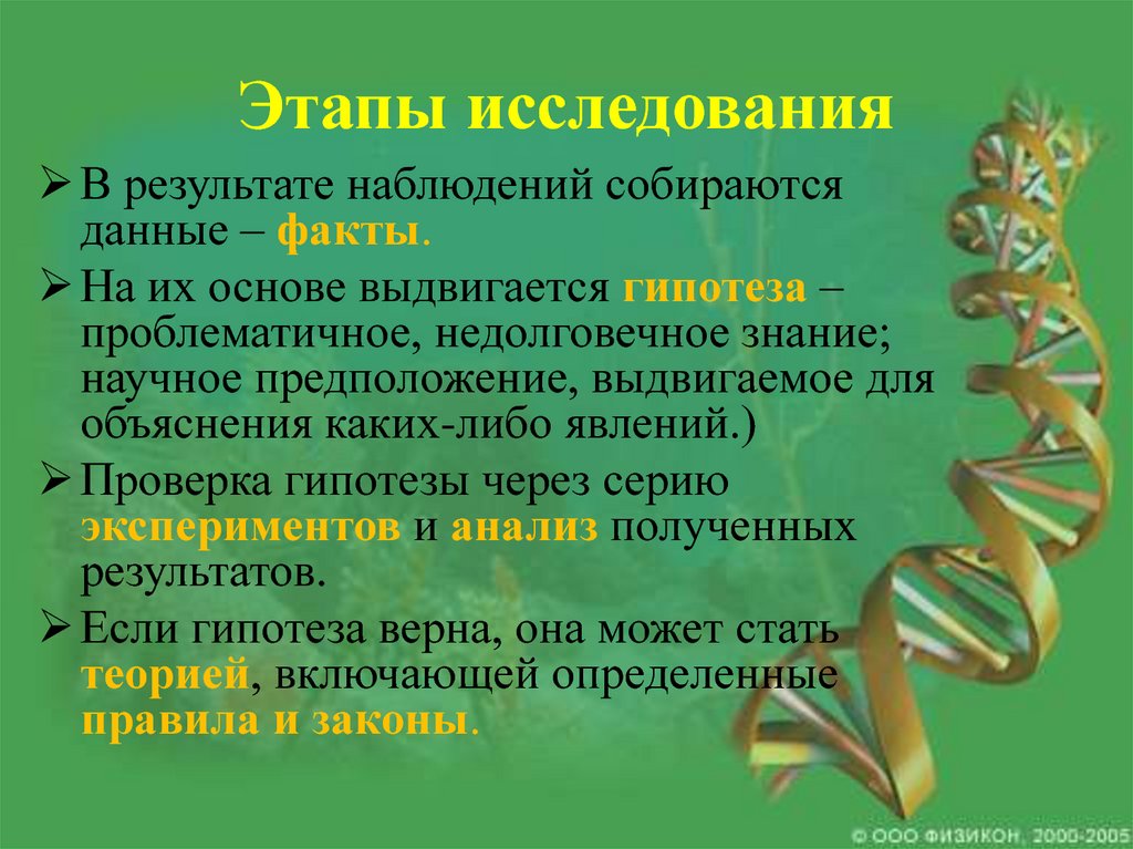 Этапы гипотезы. Гипотеза это в биологии. Этапы исследования в биологии. Стадии изучения биологии. Гипотеза теория биология.