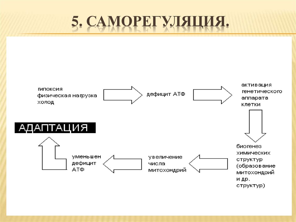 Саморегуляция спроса и предложения