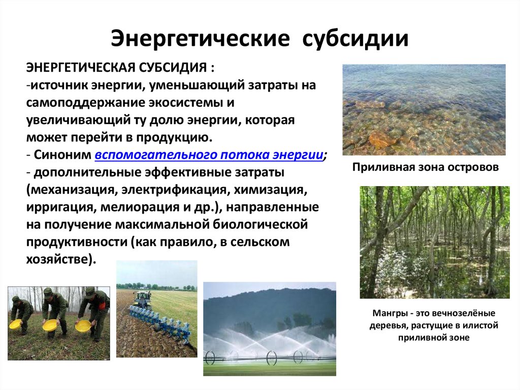 Источник энергии природной экосистемы. Источник энергии агроэкосистемы. Энергетические субсидии. Субсидии в экосистеме. Продуктивность экосистем.