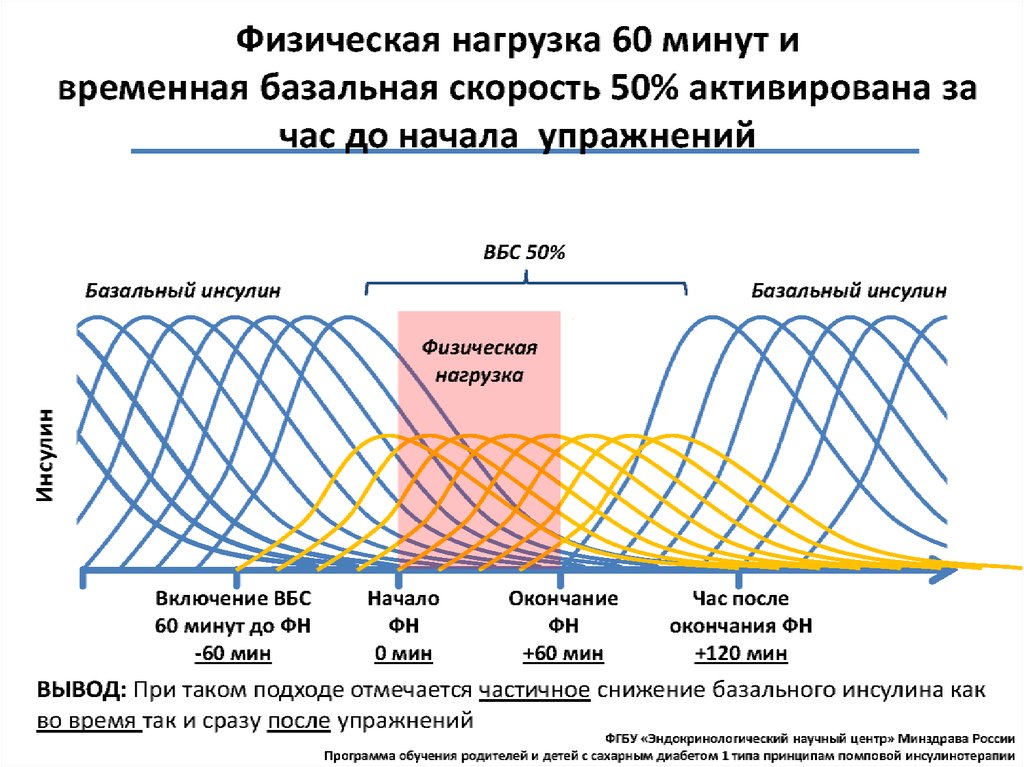 Помповая инсулинотерапия презентация