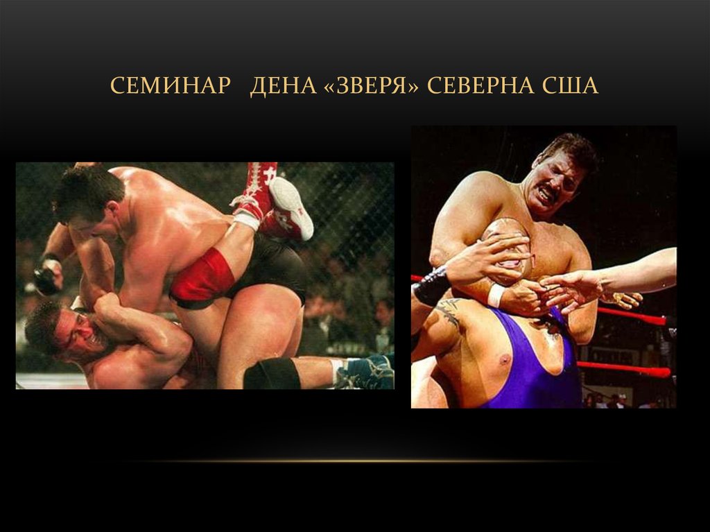 Семинар Дена «Зверя» Северна США