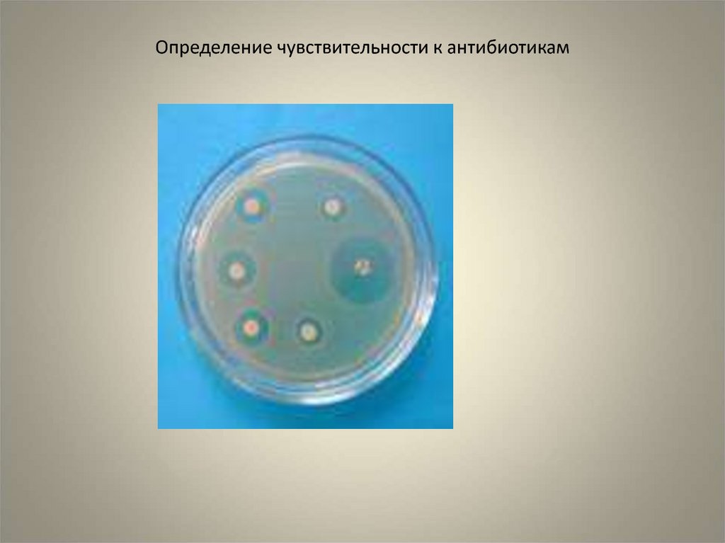 Определение чувствительности к антибиотикам