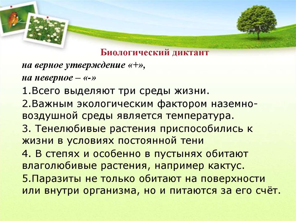 Экологический диктант ответы до 12. Диктант на тему экология. Среда обитания.биологический дикт.. Биологический диктант по теме. Биологический диктант 5 класс.