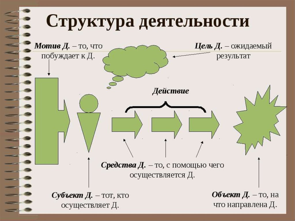 Деятельность