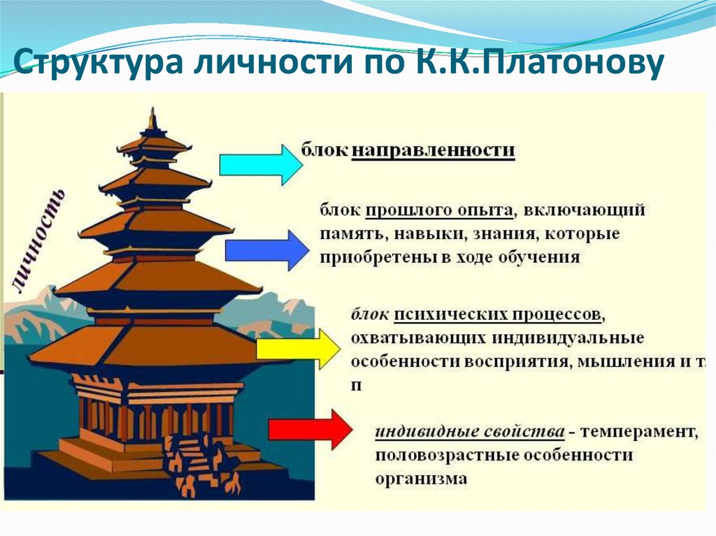 Структура личности по К.К.Платонову