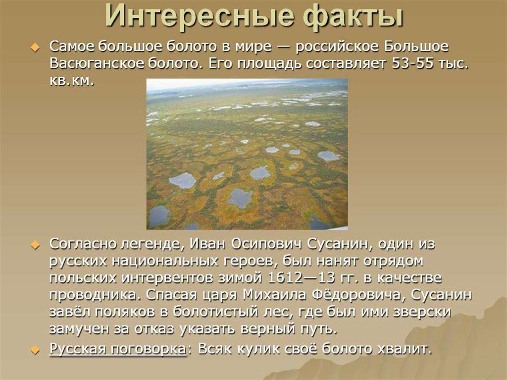 Составляющая болотной. Васюганские болота заповедник. Васюганские болота, Западная Сибирь. Интересные факты о болотах. Васюганское болото интересные факты.