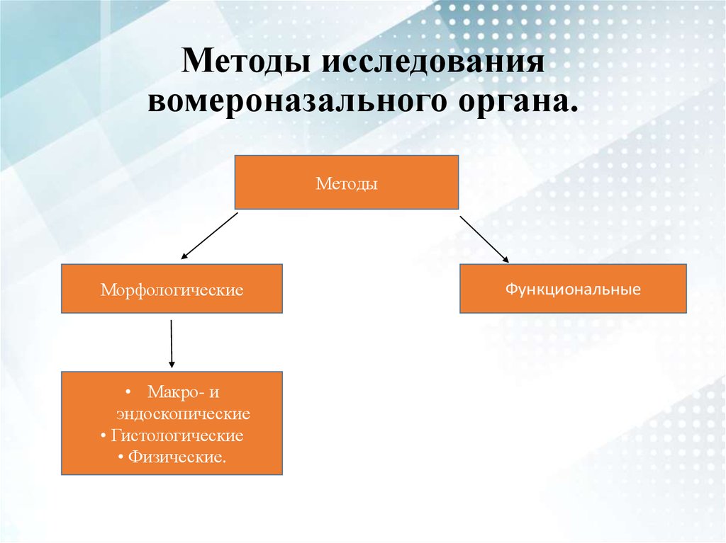 Методы исследования органа. Функция вомероназального органа. Методы исследования органов обоняния. Вомероназальный орган исследования. Способы изучения органа.