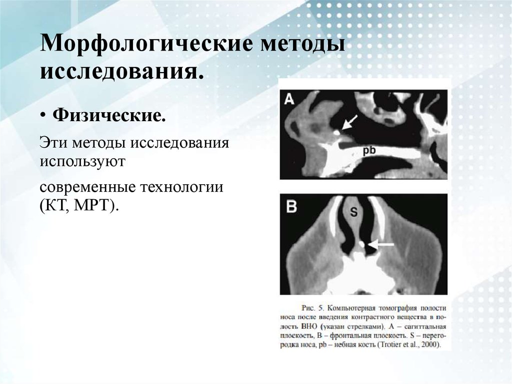 Морфологическое исследование. Морфологический метод исследования в медицине. Морфологический метод в стоматологии. Морфологические методы. Морфология методы исследования.