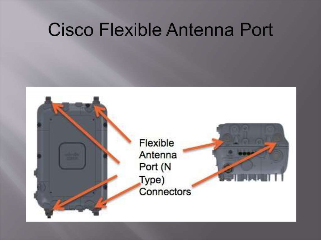 Cisco Flexible Antenna Port