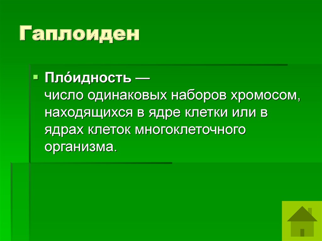 Гаплоидный набор это. Плоидность клеток. Понятие о плоидности клеток. Понятие плоидности. Гаплоидные клетки животных это.