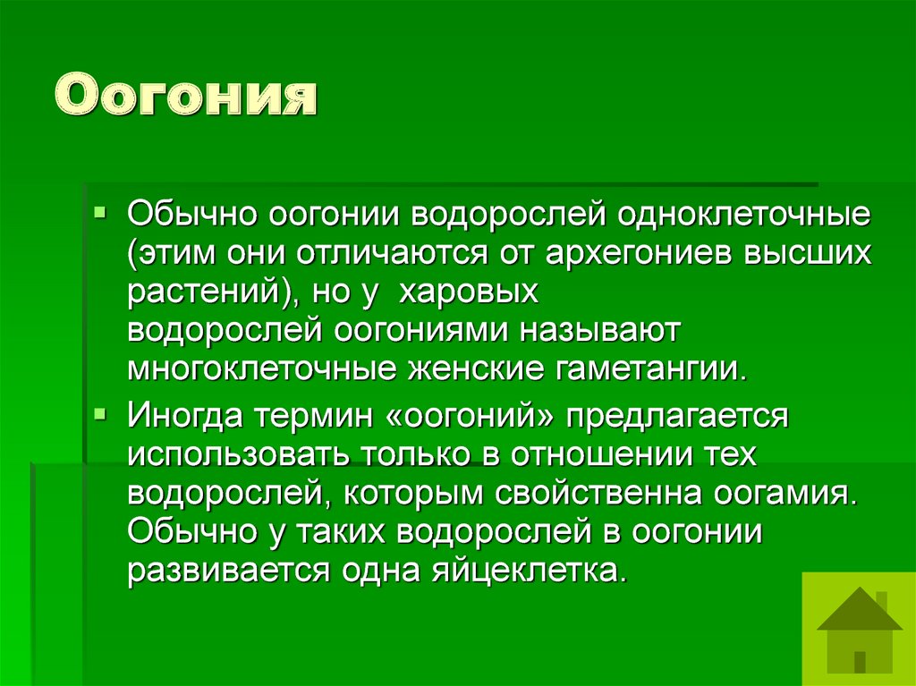 Отличен это. Оогония. Оогоний водоросли. Оогоний человека. ИЗОГОНИЯ оогония.