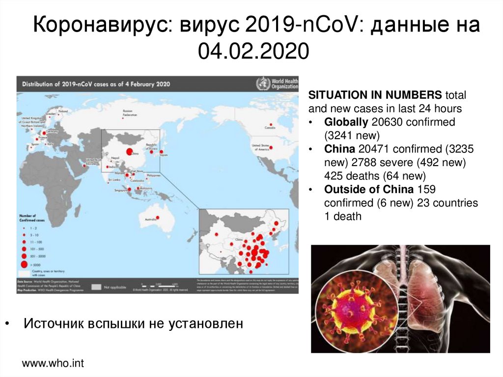 Коронавирус: вирус 2019-nCoV: данные на 04.02.2020 
