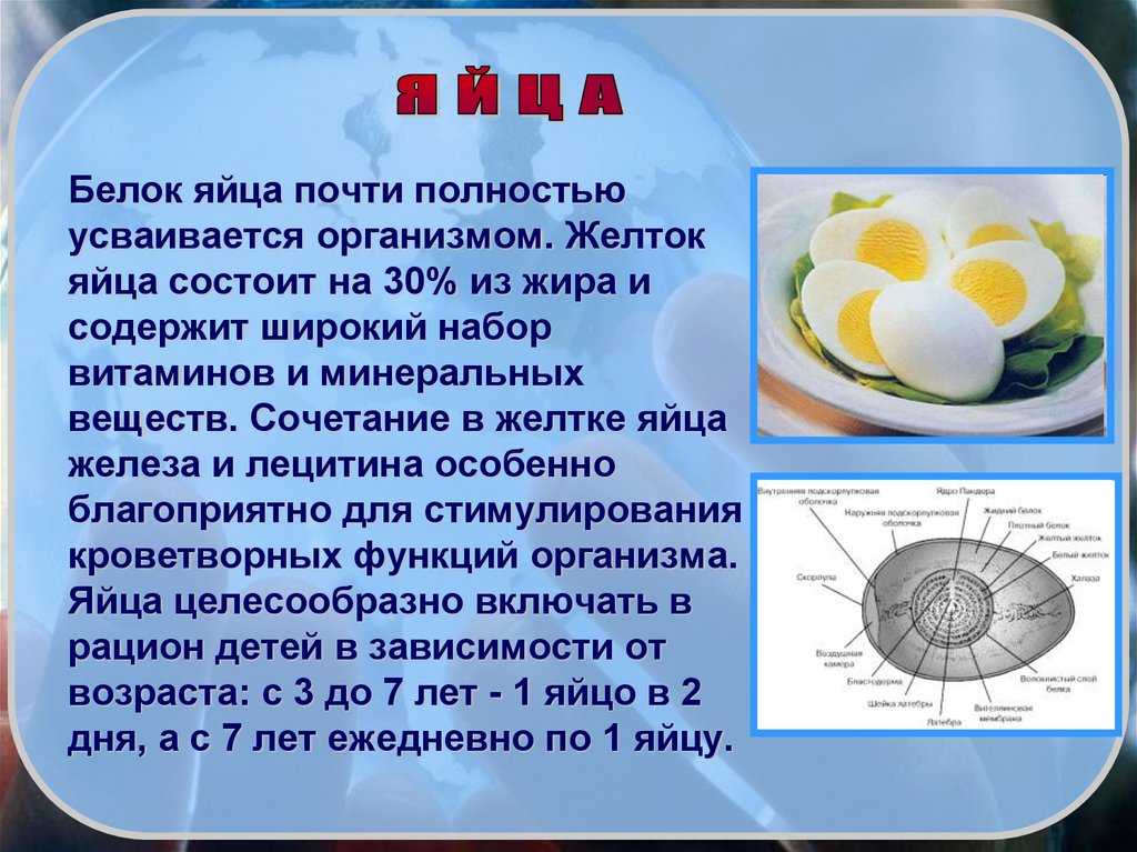 Белок яйца почти полностью усваивается организмом. Желток яйца состоит на 30% из жира и содержит широкий набор витаминов и