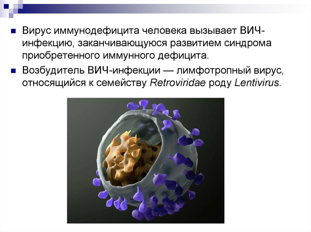 Вирус спид и человек динамика борьбы проект