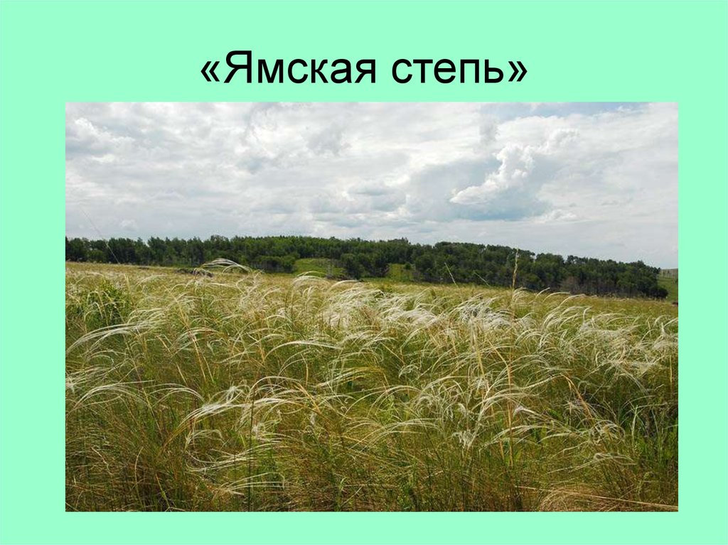 Ямская степь презентация