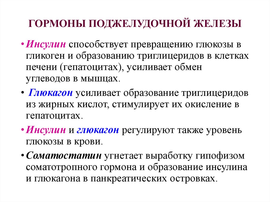 Инсулин функции