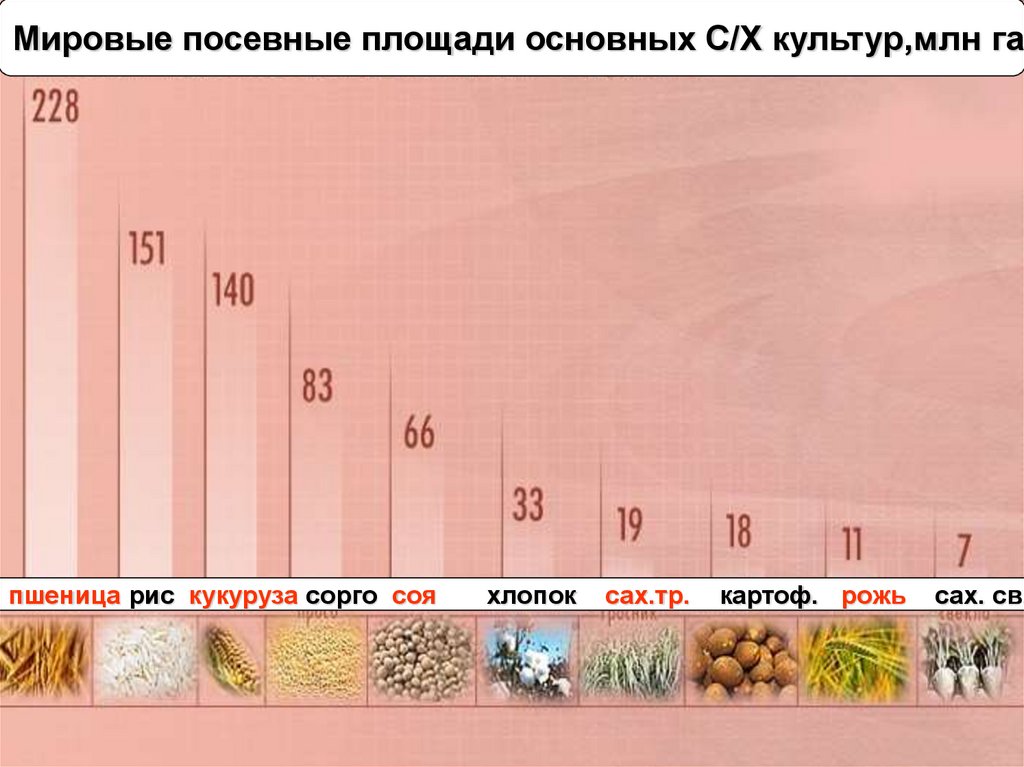 Посевные площади на земле распределяются так пшеница 30 столбчатая диаграмма