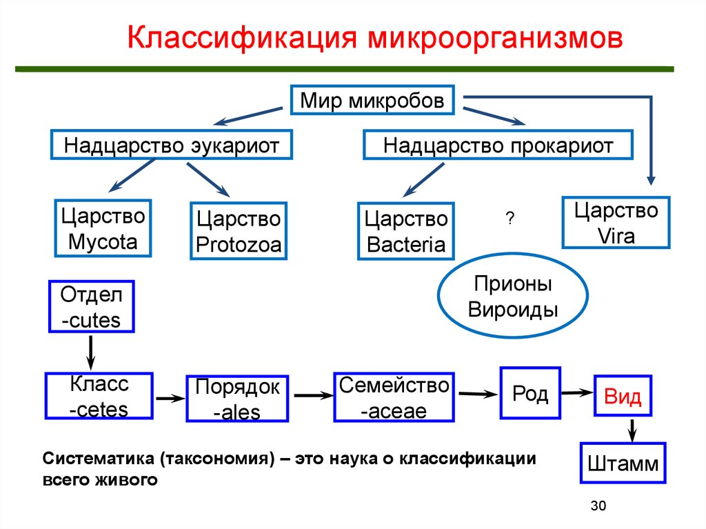 Группы организмов прокариот. Основные группы патогенных микроорганизмов схема. Классификация и таксономия микроорганизмов. Виды микроорганизмов микробиология схема. Классификация и номенклатура бактерий.