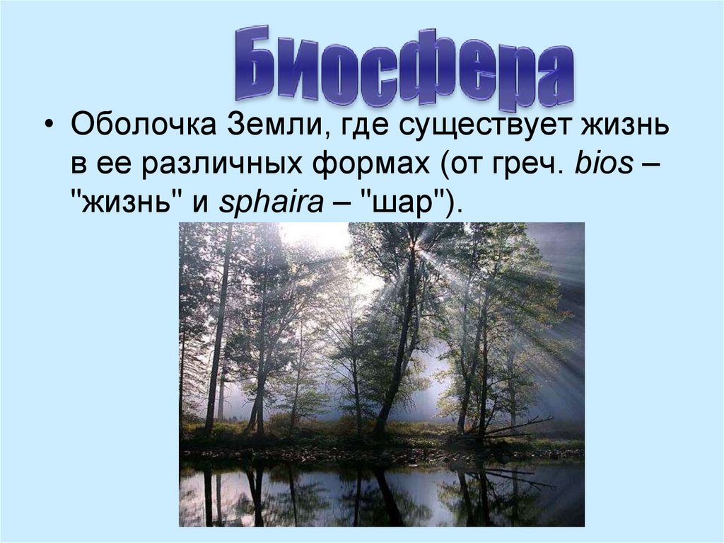 Живая оболочка земли где существует жизнь. Оболочка земли, где существует жизнь в ее различных формах. Понятие живой природы реферат. Биосфера от греч BIOS жизнь и sphaira. Сыновья природы доклад 8 класс.