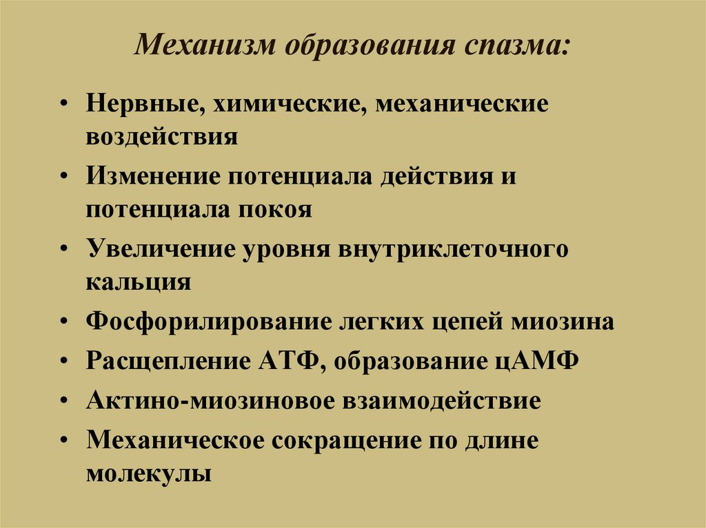 Механизм образования судорог. Механизмы обучения. Фосфорилирование легких цепей миозина.