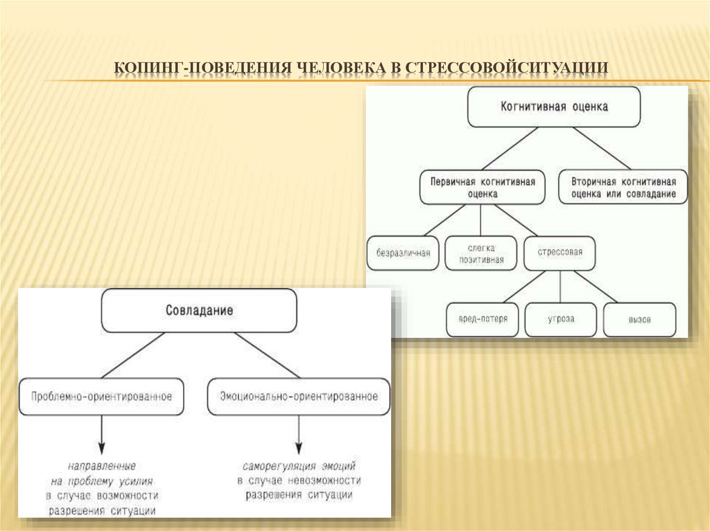 Поведения человека схема