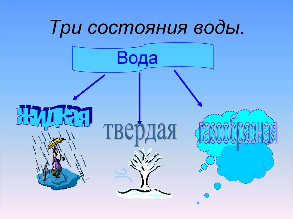 Заполни схему приведи примеры различных состояний воды