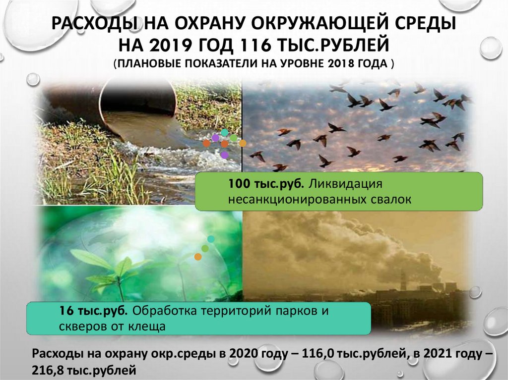 Расходы на охрану окружающей среды на 2019 год 116 тыс.рублей (плановые показатели на уровне 2018 года )